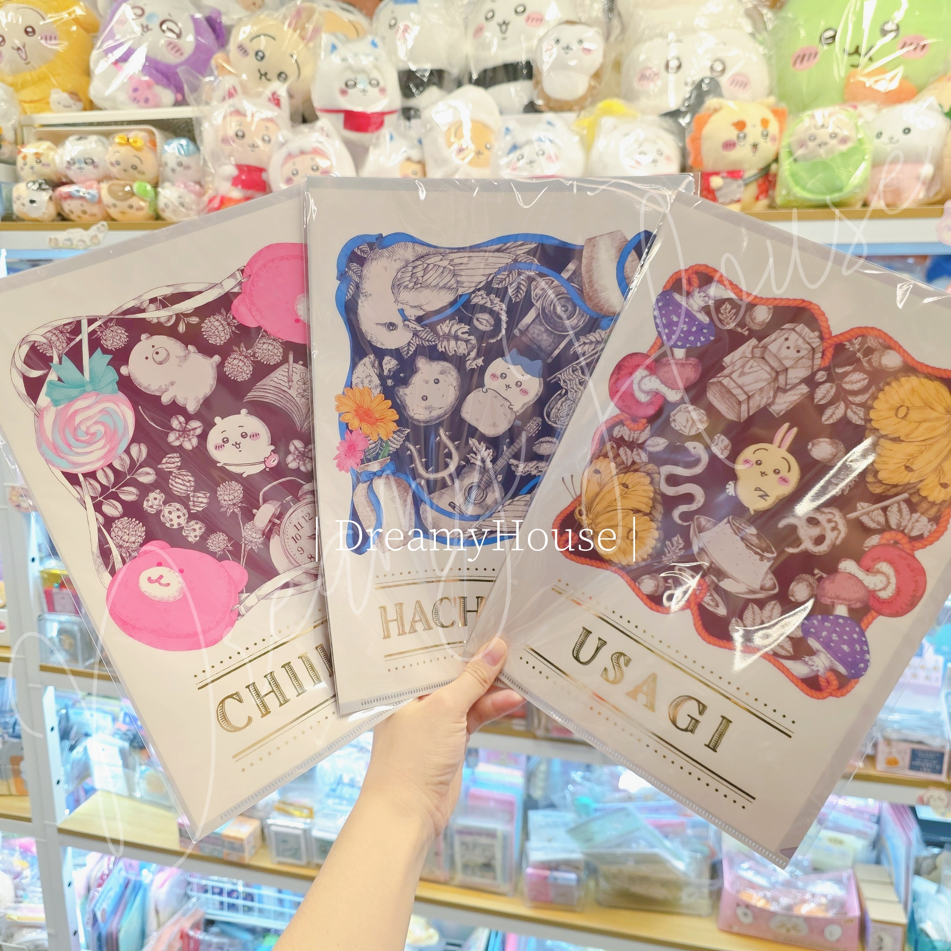 日本 Chiikawa ✨️Chiikawa Park🚩 A4 File