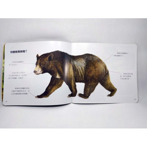 峰芸 我的動物百科故事4本 點讀書