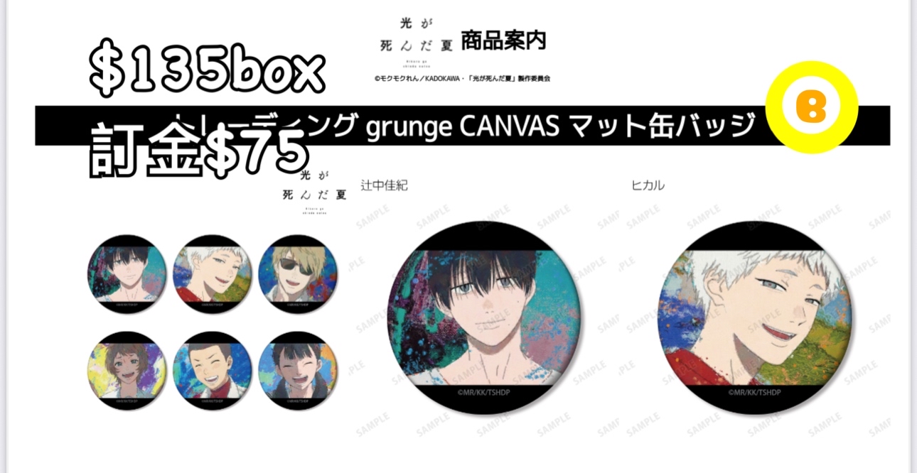 Preorder預訂6/2026年光逝去的夏天grunge CANVAS 襟章 原盒