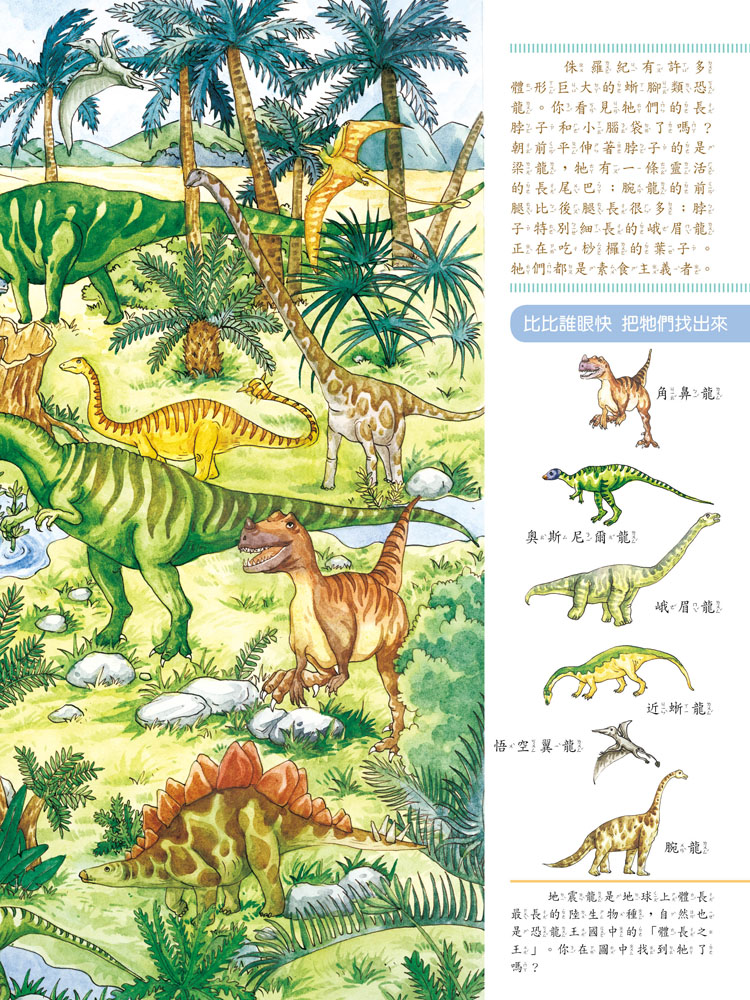小五南 找找看！訓練孩子專注力的尋寶書：恐龍篇