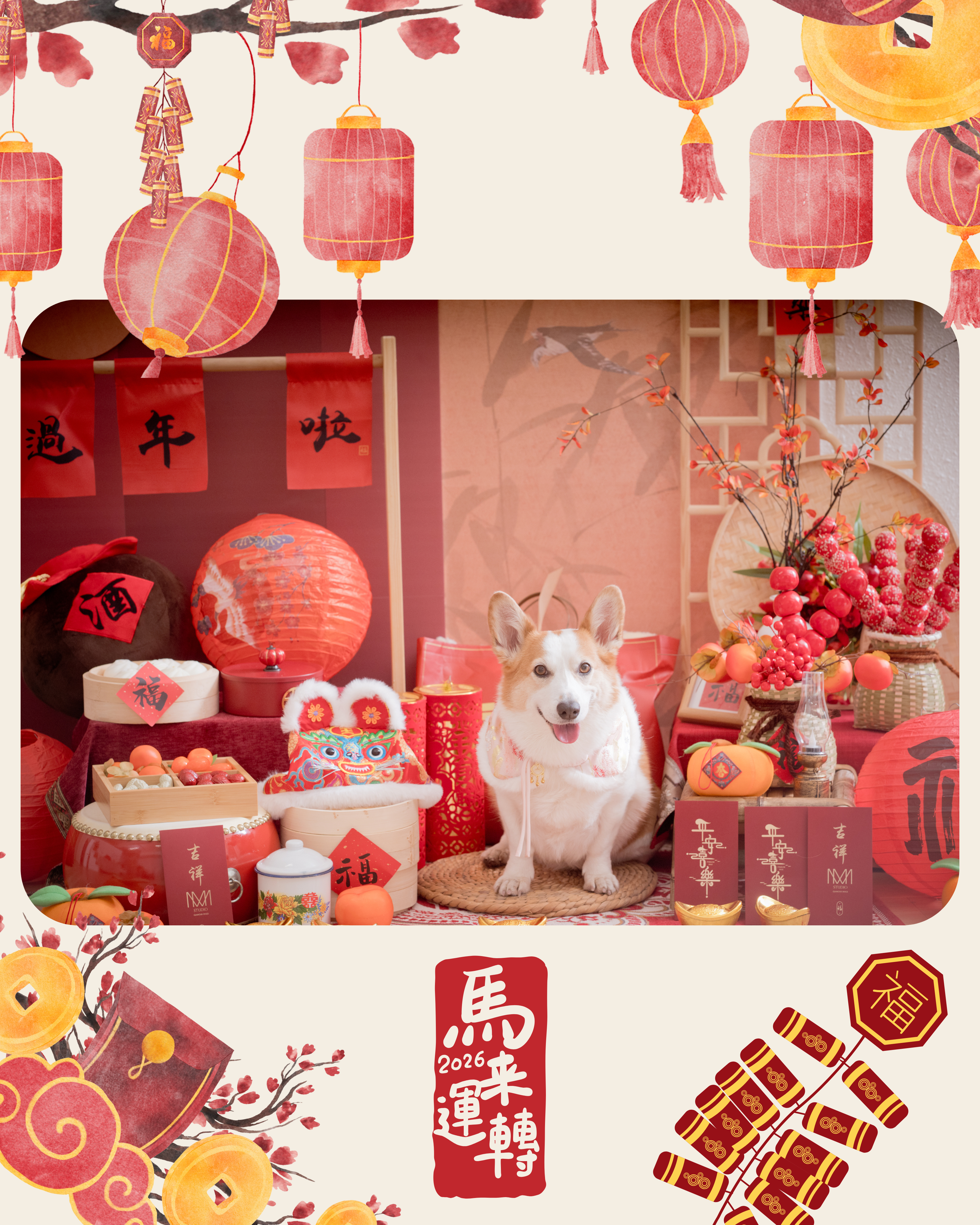 寵寵物農曆年寫真