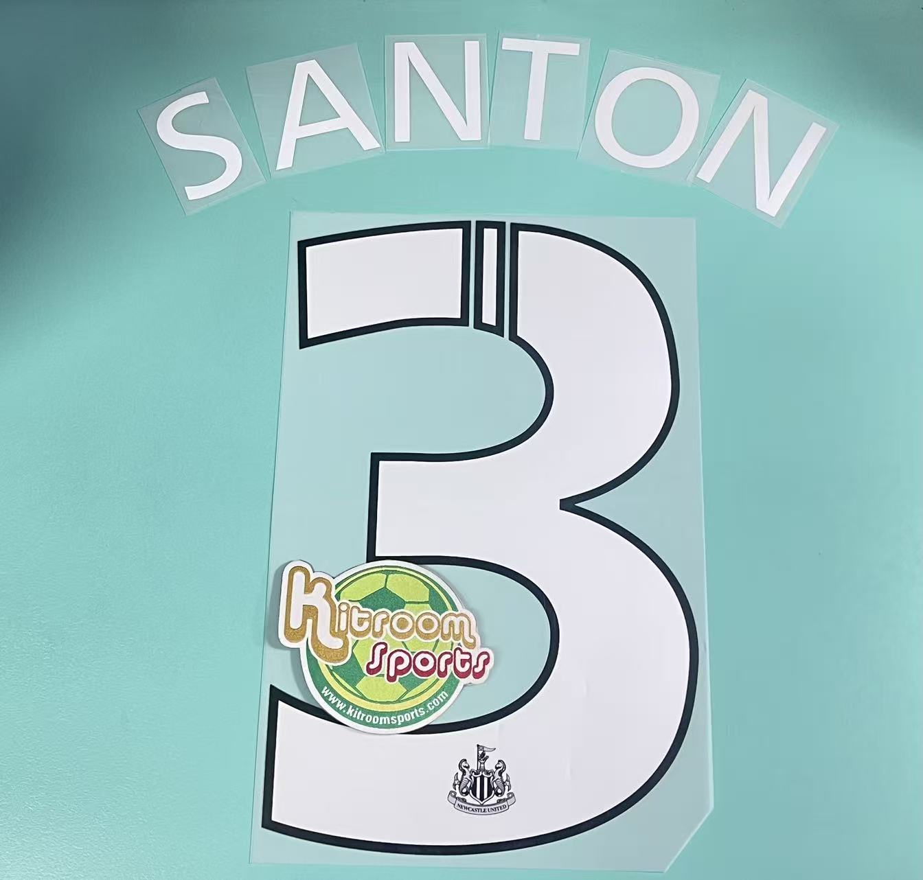 2012-13 Newcastle United Home Europa League Nameset #3 SANTON