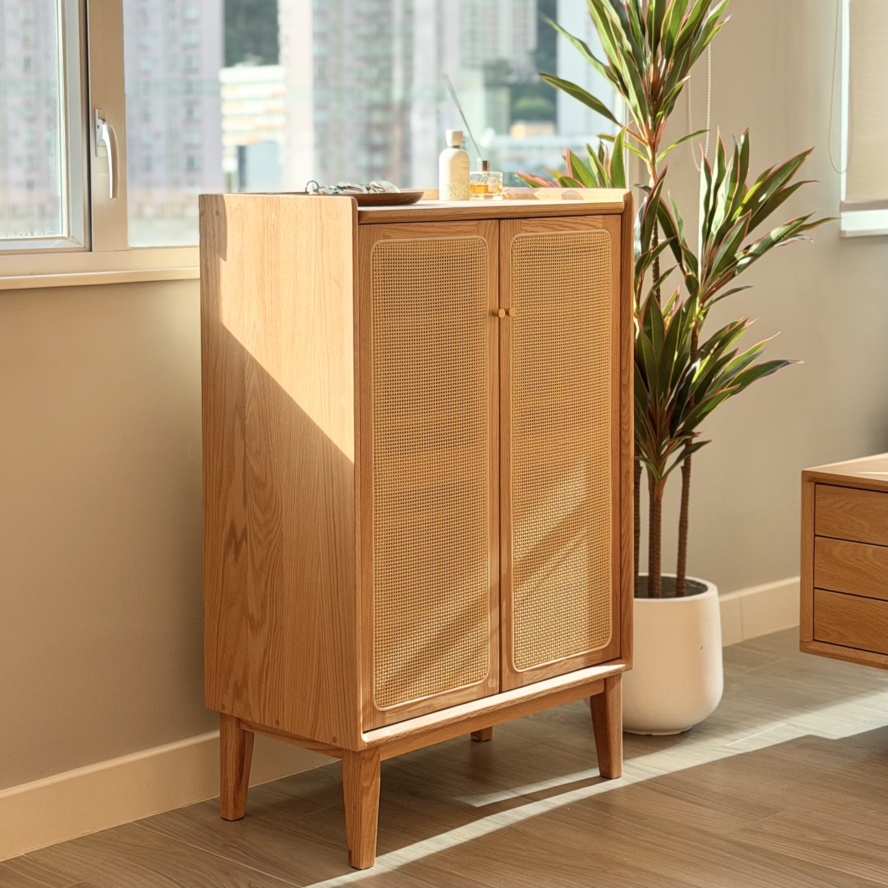 新品推介 SAIGON Shoe Cabinet 