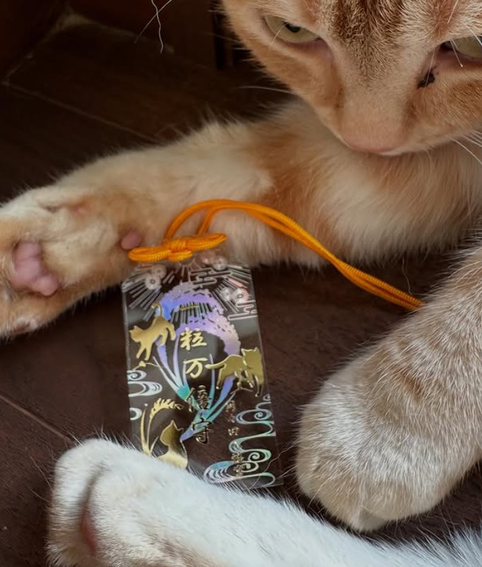 現貨 - 一粒万倍守