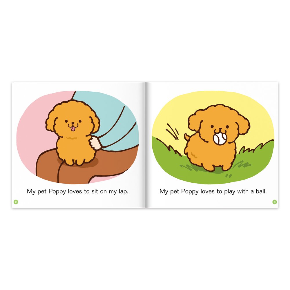 📚預訂 台灣直送📚英文小讀者-Level2(全套10冊)