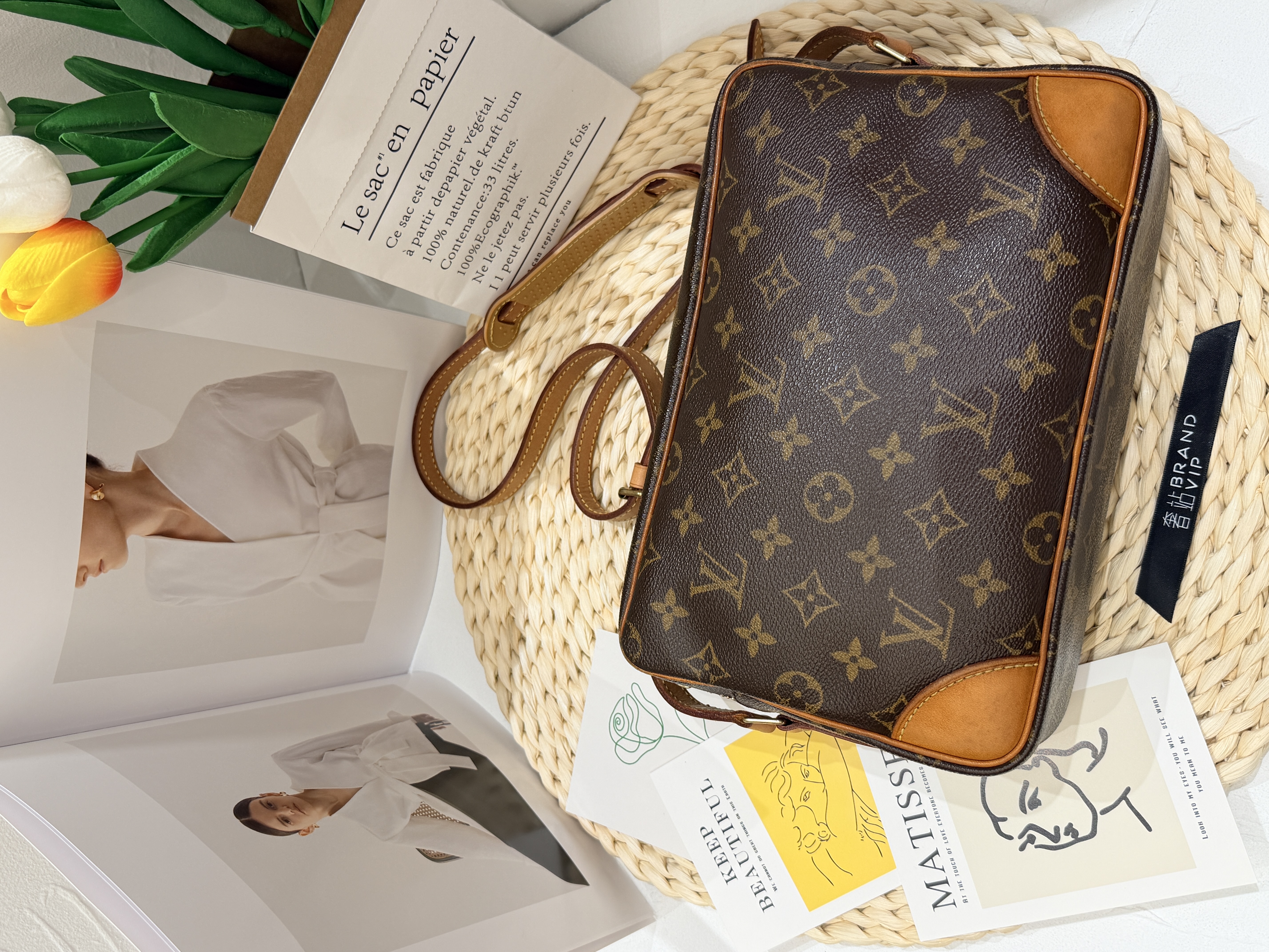 Louis Vuitton Camera Bag