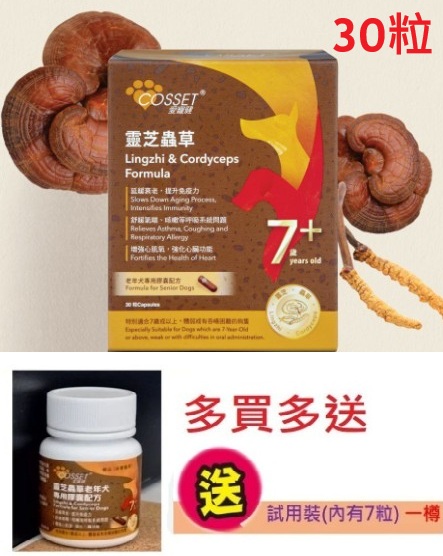 短期清貨:30粒愛寵健 靈芝蟲草老年犬專用膠囊配方 (30粒裝)(送7粒試用裝)(最佳食用期: 2026年11月15日)