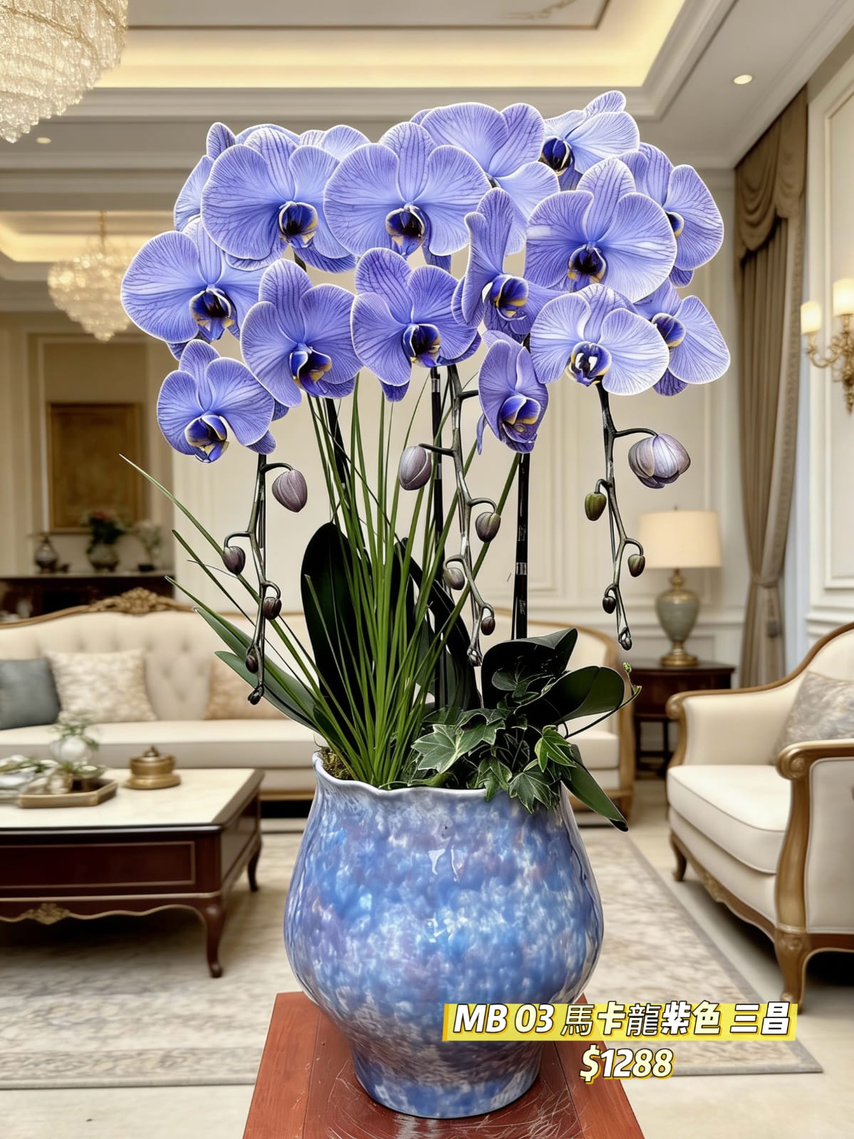 馬卡龍紫蝴蝶蘭 