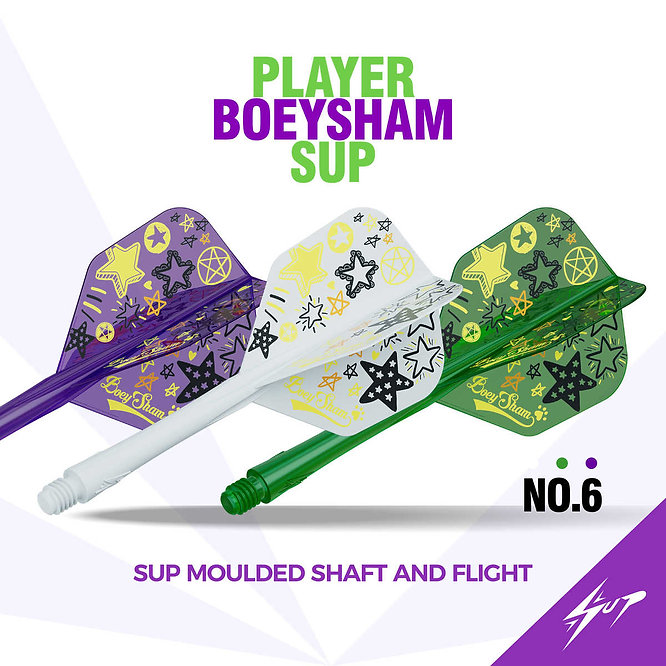 九牌 Sup Moulded Shaft and Flight No6 - player BoeySham