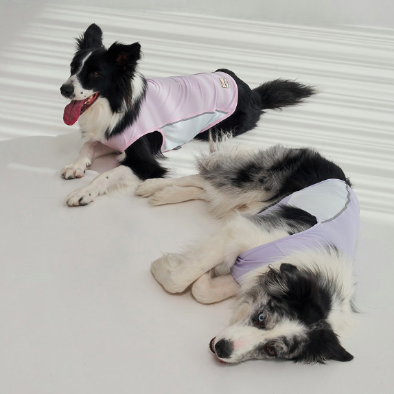 *SuperPet🇰🇷狗狗涼感機能背心