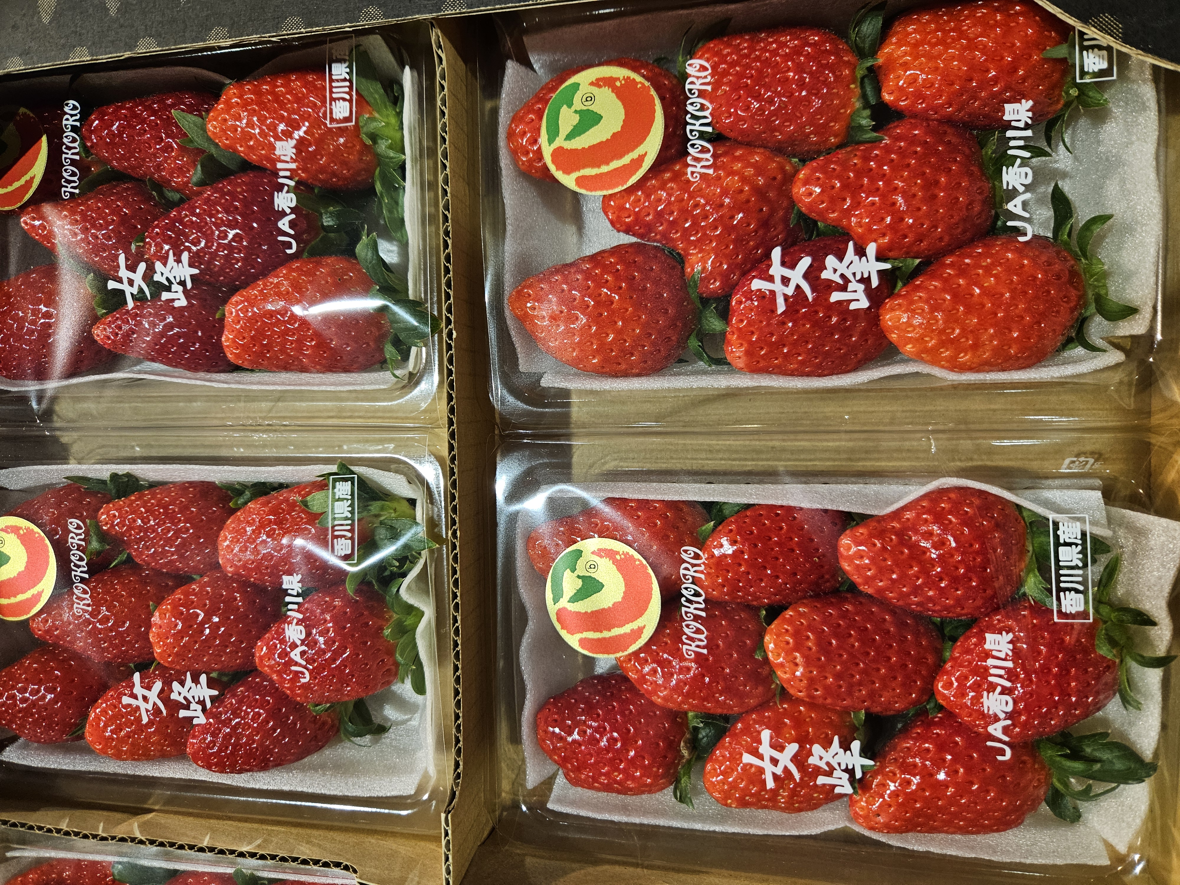 日本香川県士多啤梨 每份两包