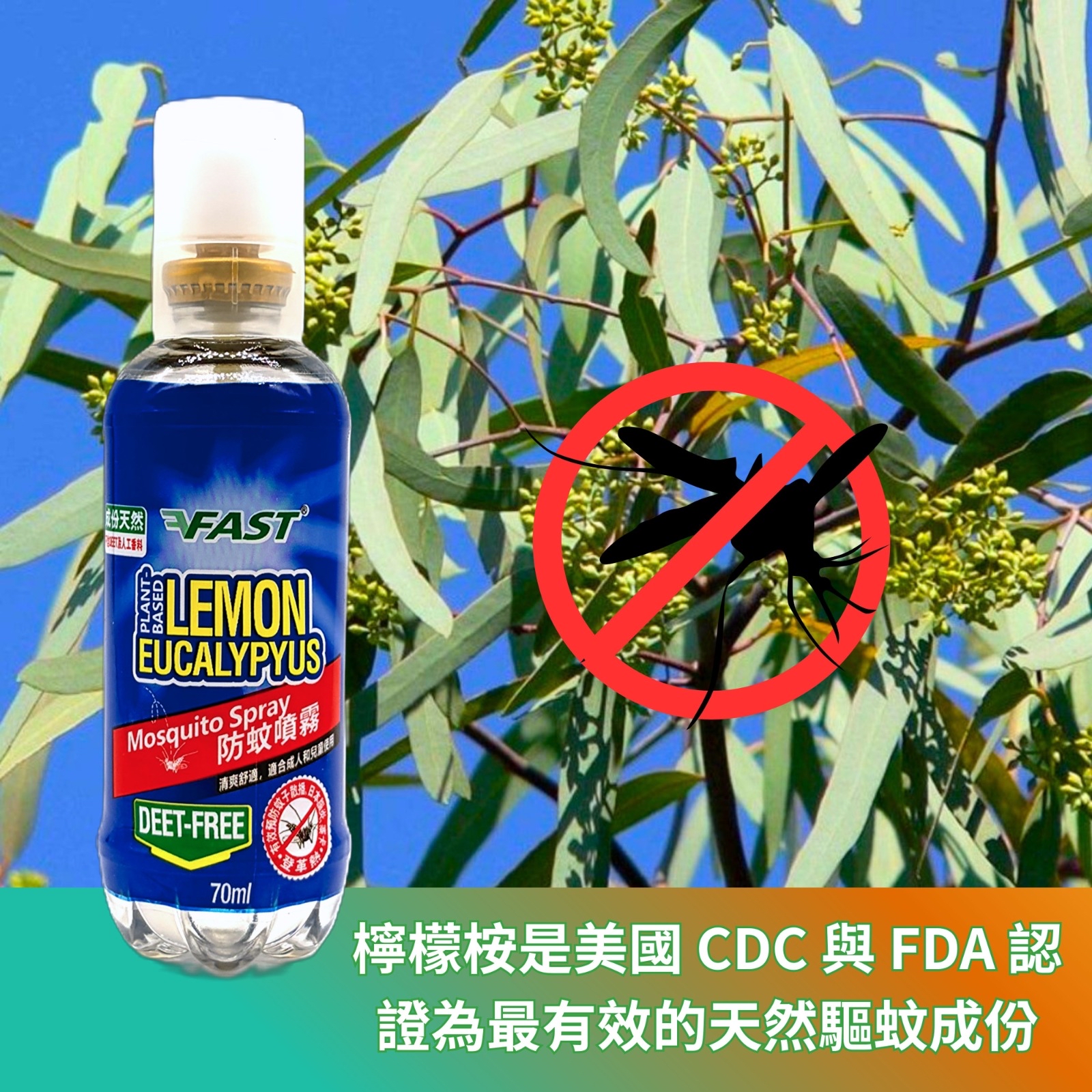 FAST®️ 香港品牌純天然成份防蚊噴霧70ml