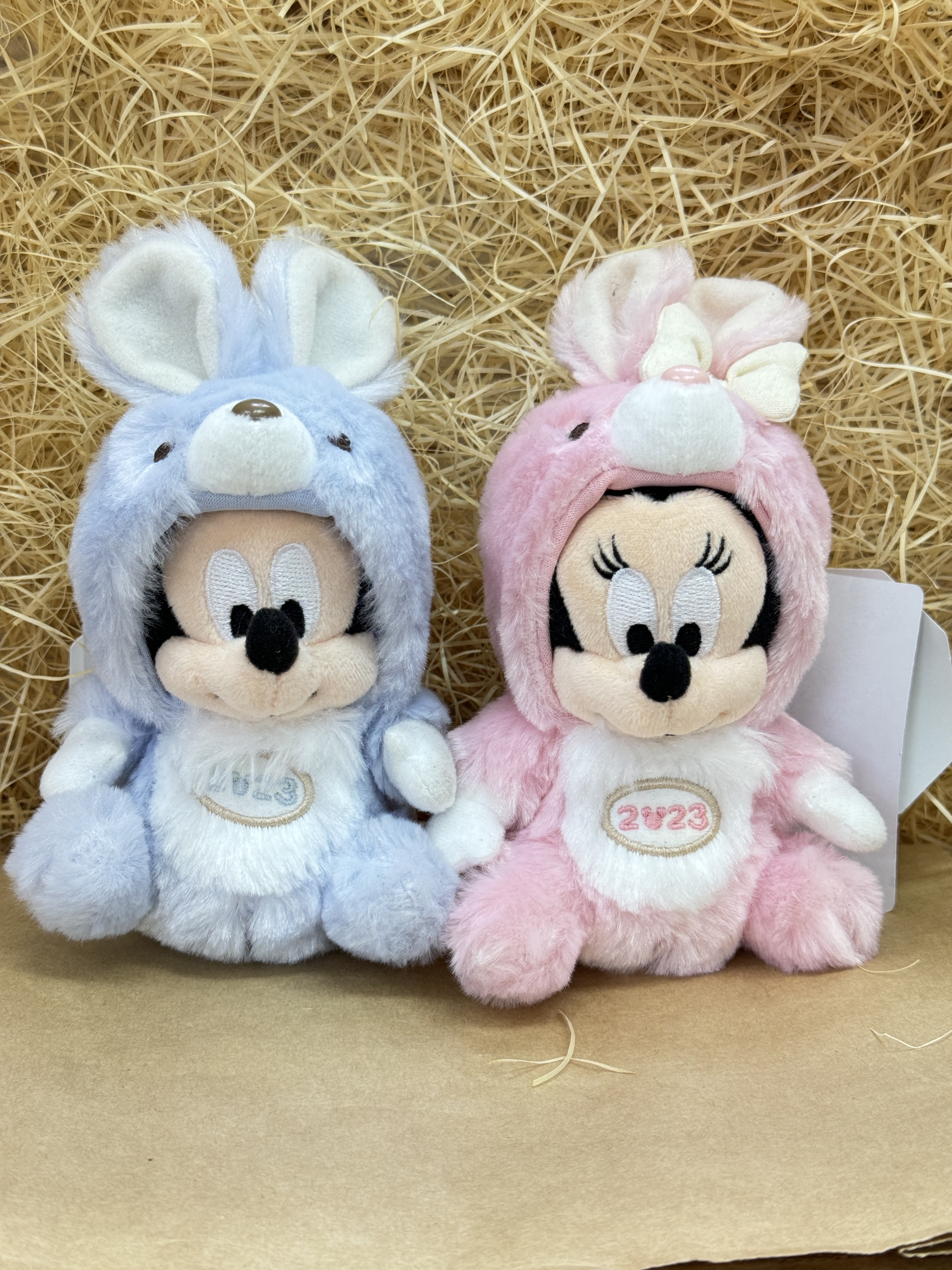 [現貨] [東京迪士尼] 干支2023｜MICKEY｜MINNIE｜吊飾 {TF2403008}