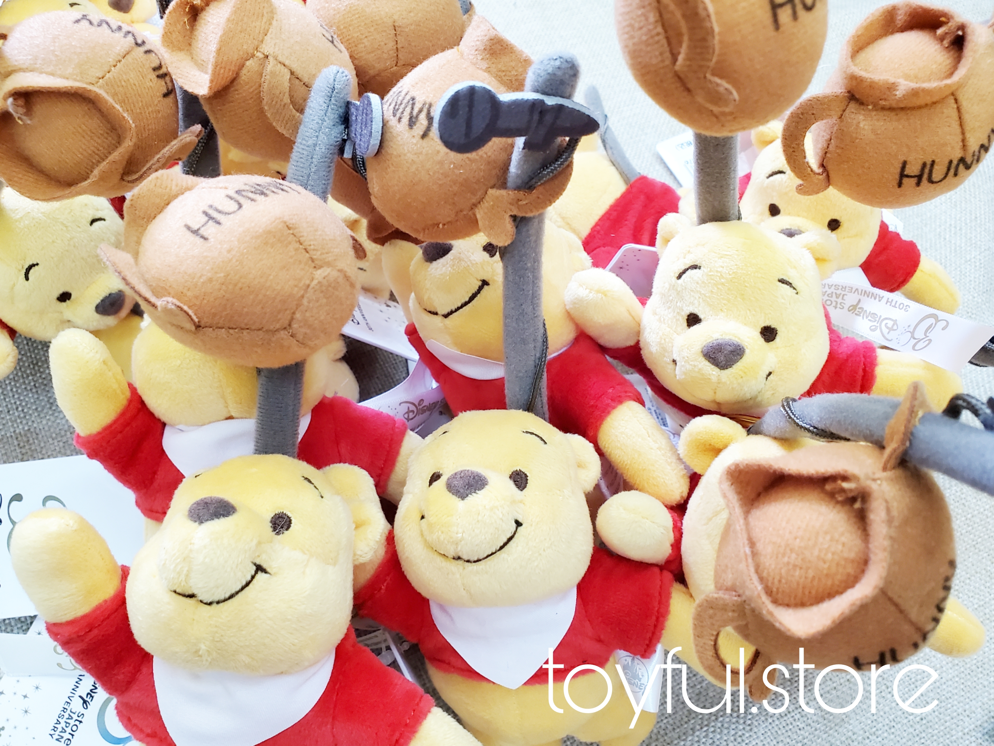 [現貨] [JDS] DISNEYSTORE 30週年｜小熊維尼｜吊飾 {TF2207168}