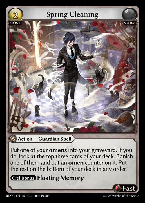 Spring Cleaning / RDO-151 (C)