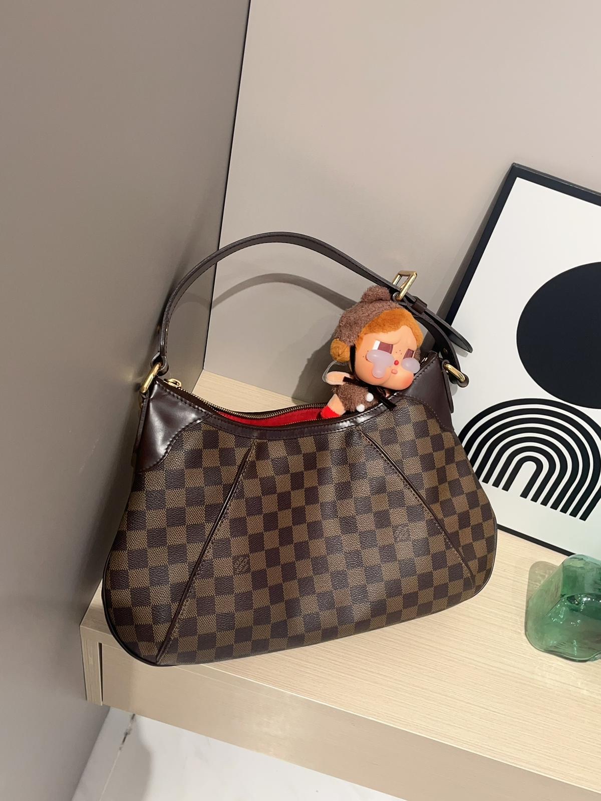 Lv thames pm Hobo Bag Louis Vuitton 100%Authentic ,95%new✅dust bag