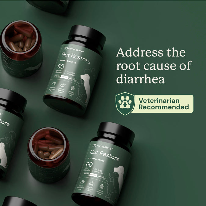 AnimalBiome : Gut Restore for Dogs [最新存貨情況請參閱下列商品介紹]