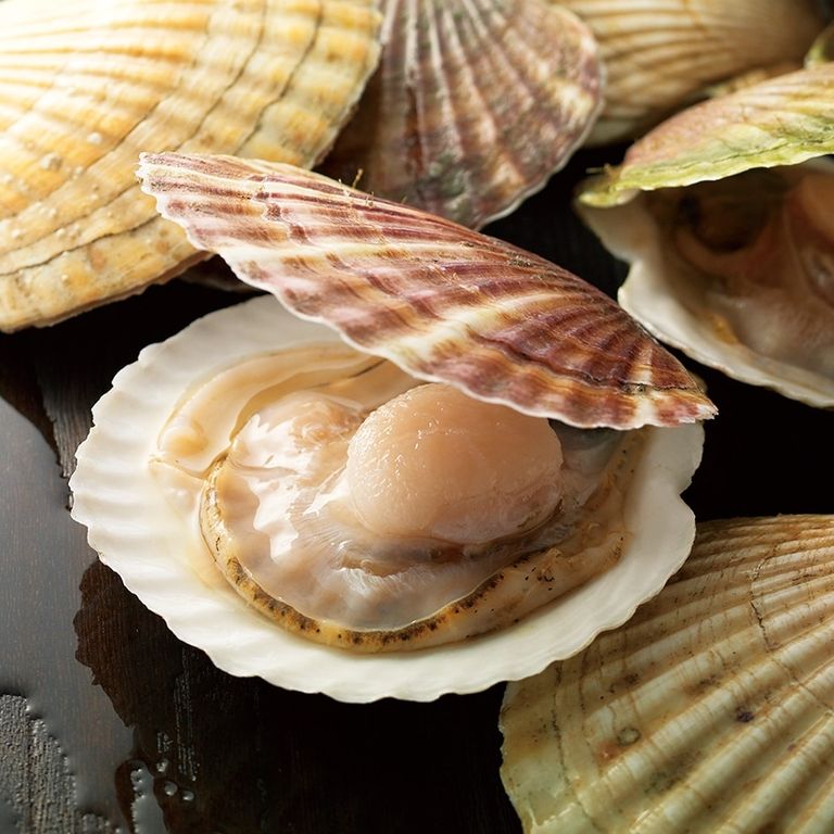 日本坂角総本舗｜SAKU日記海鮮香脆米餅12袋入