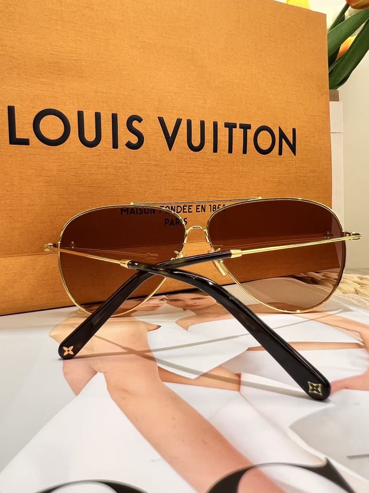 Louis Vuitton The LV Pilot 