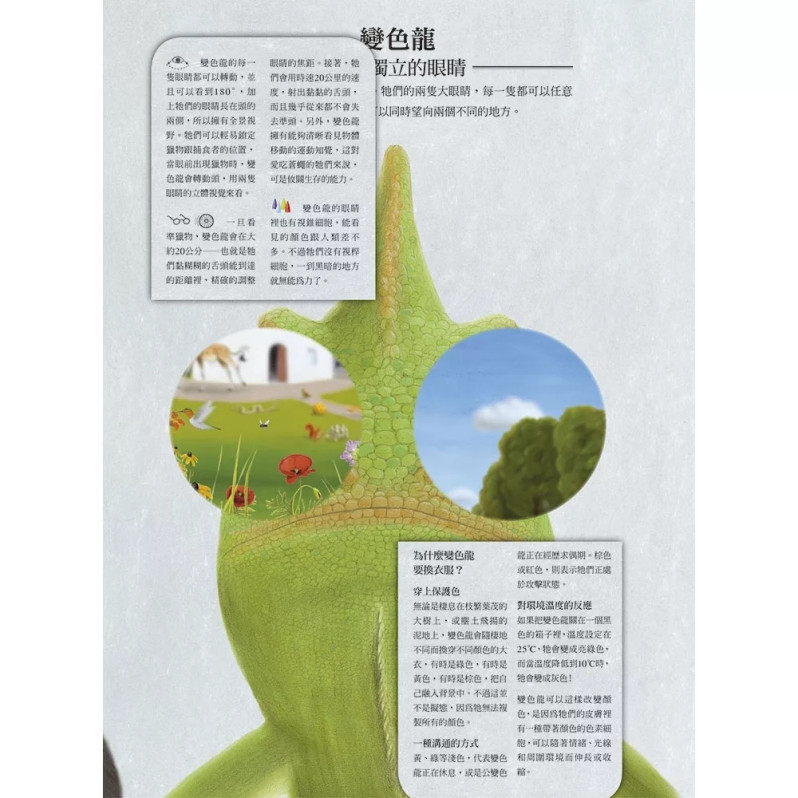 動物眼中的世界（典藏新裝版）