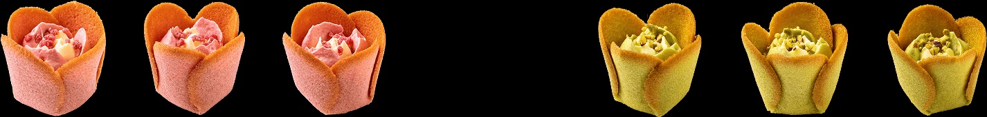 Wicked x Tulip Rose Strawberry & Pistachio - 03260006