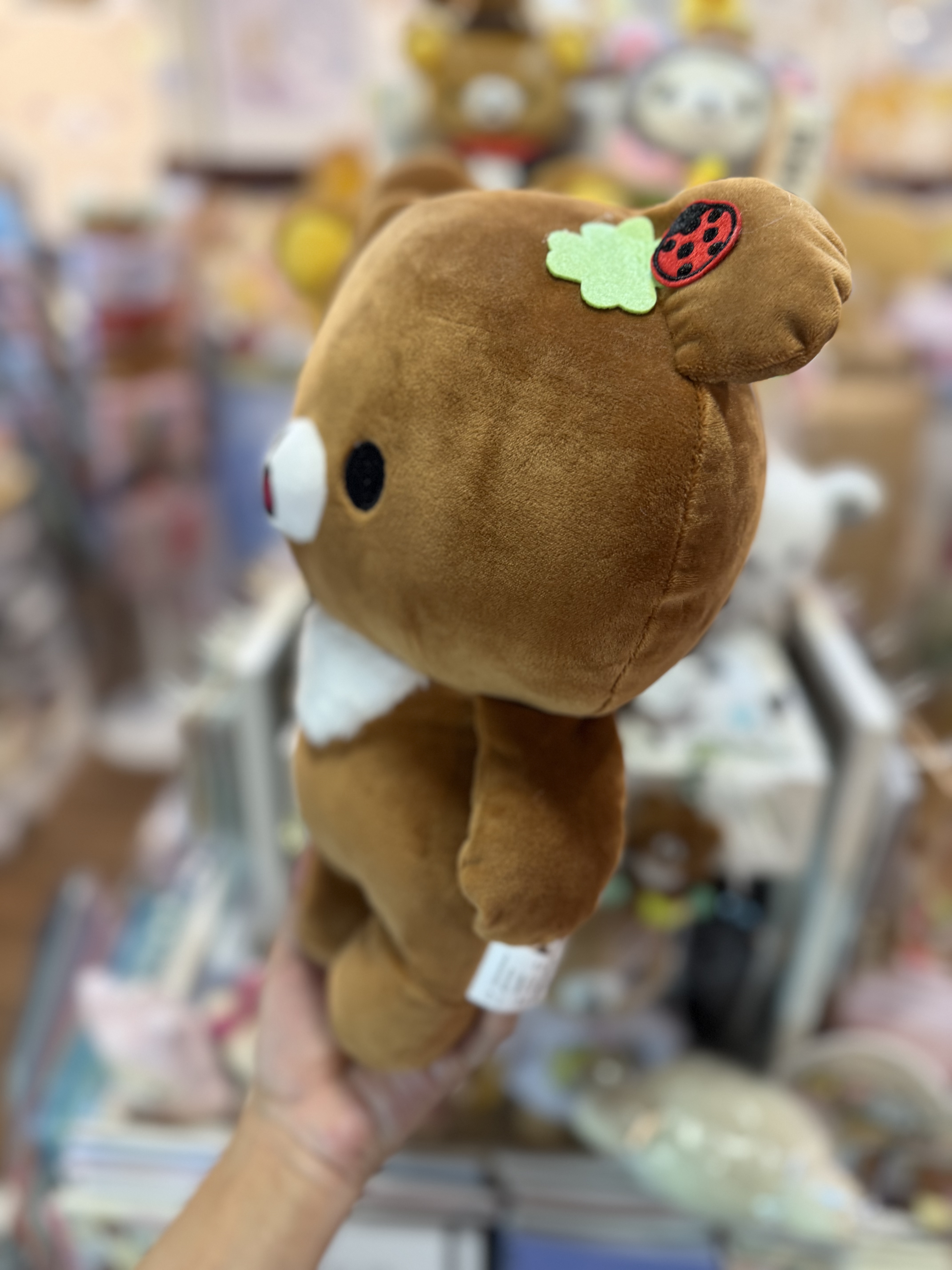 《現貨》全新日本限定小熊10週年紀念系列 茶小熊公仔