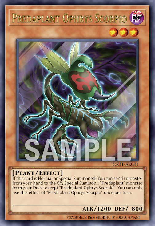 CR11-AE031 (UR)Predaplant Ophrys Scorpio(捕食植物 蜂蘭蠍)