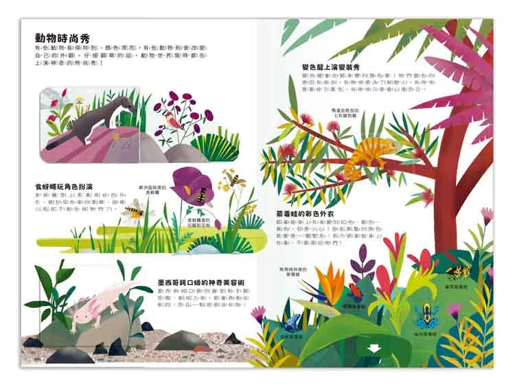 禾流 小小知識家動手大發現：動物AMAZING！