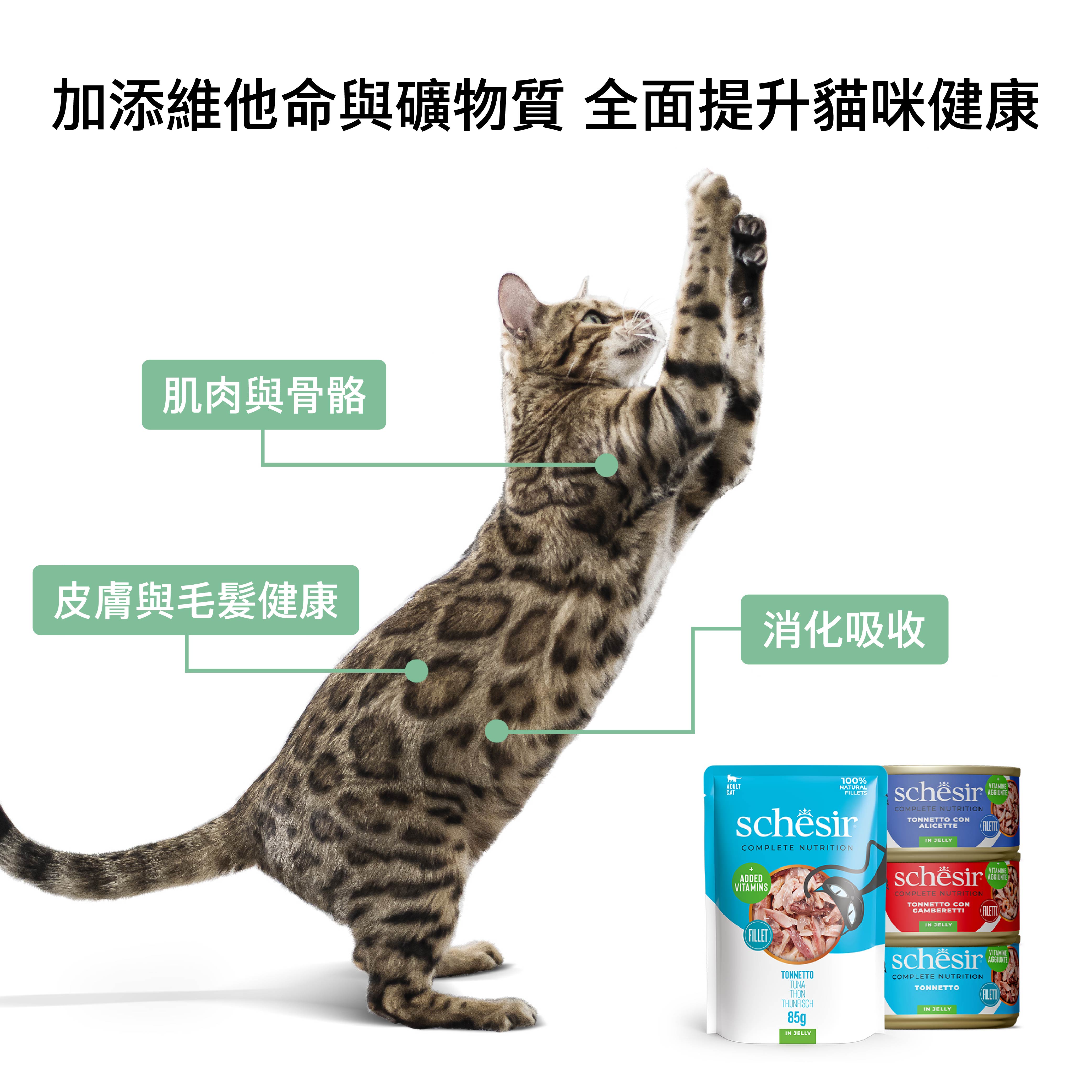 Schesir Complete Nutrition in Jelly TUNA WITH WHITEBAITS 85g