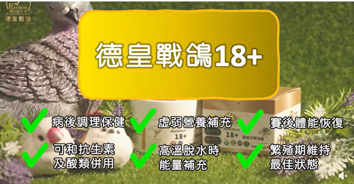 德皇戰鴿 18 +