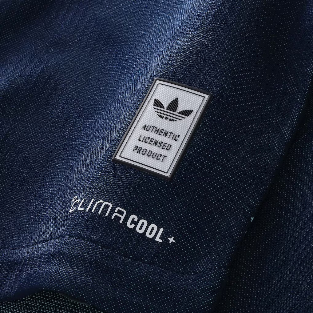 🌊海洋氣息 Adidas Germany 德國 2026-27 作客長袖球員版球衣  (可加印球員印字及臂章) JM1382