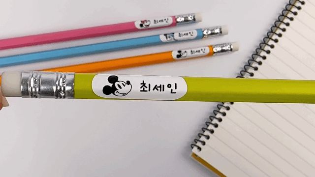 韓國🇰🇷Diseny系列防水文具餐具姓名貼紙
