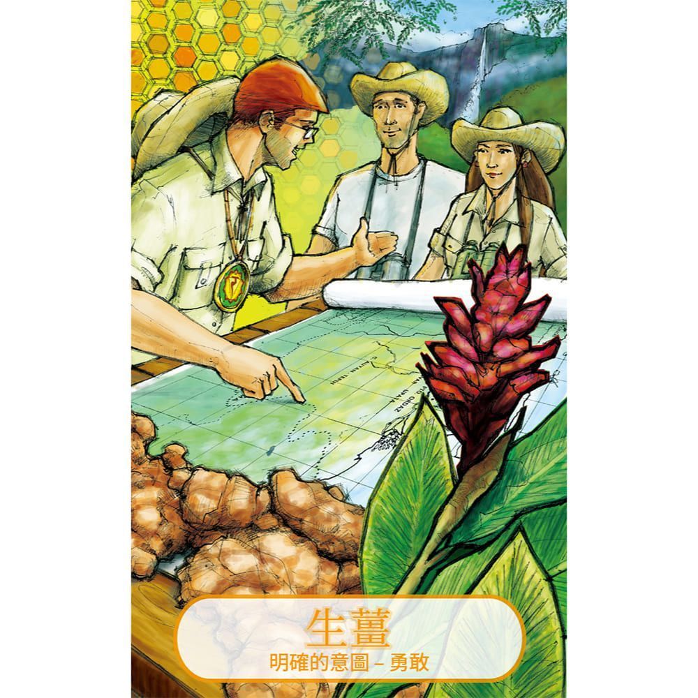 精油直覺卡