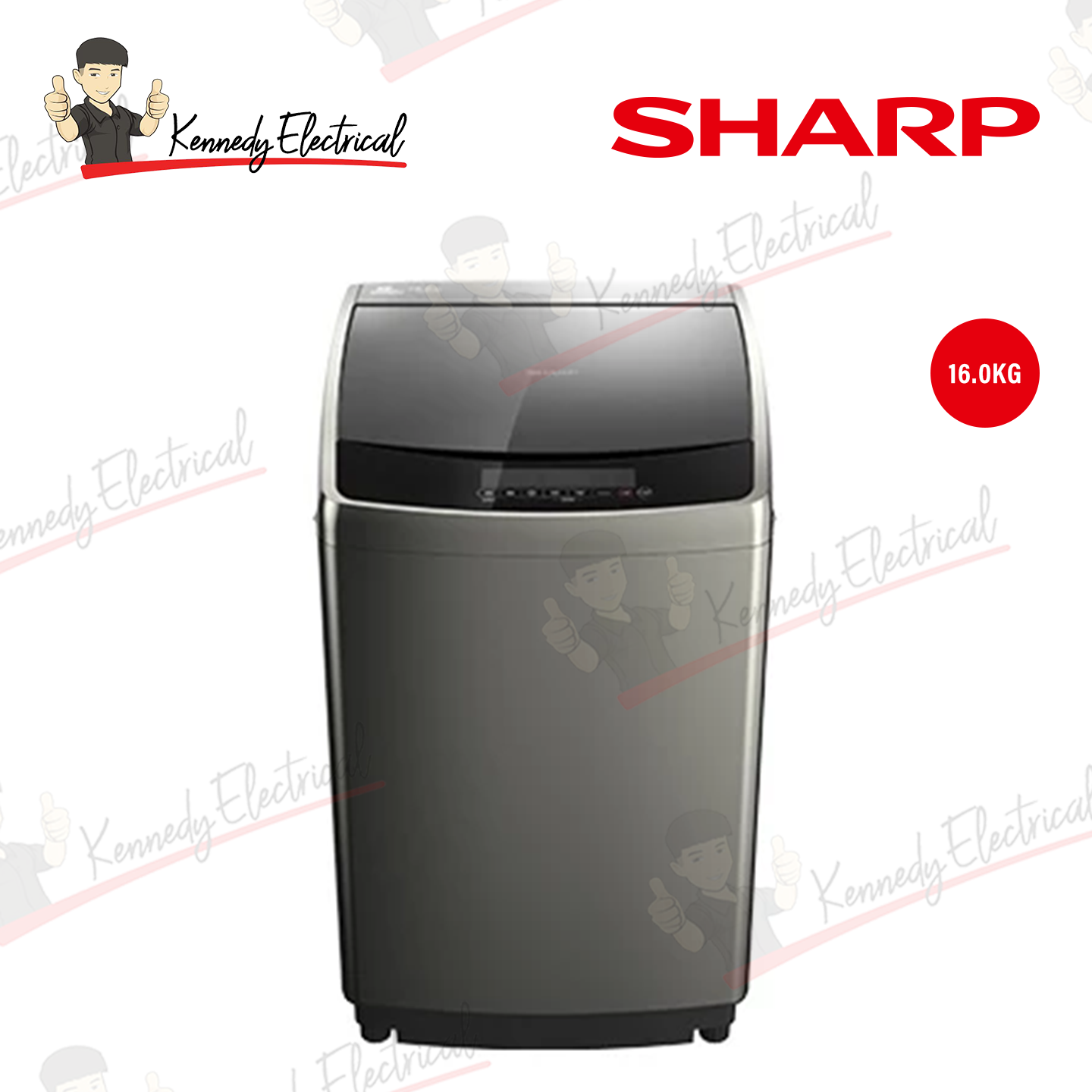 Sharp 16kg DD Inverter Top Load Washer (ESY1619)