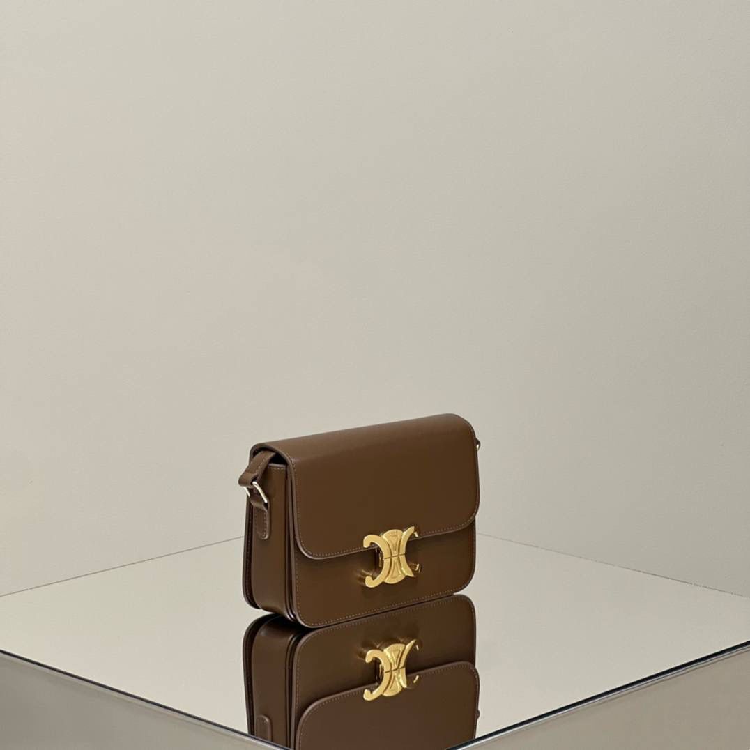 🔥大货实拍图 𝗖𝗘𝗟𝗜𝗡𝗘 ♥ 𝗧𝗘𝗘𝗡 𝗧𝗥𝗜𝗢𝗠𝗣𝗛𝗘 型号：188423 中号尺寸：22.5*16*7cm 小号尺寸：18.5*14*6cm