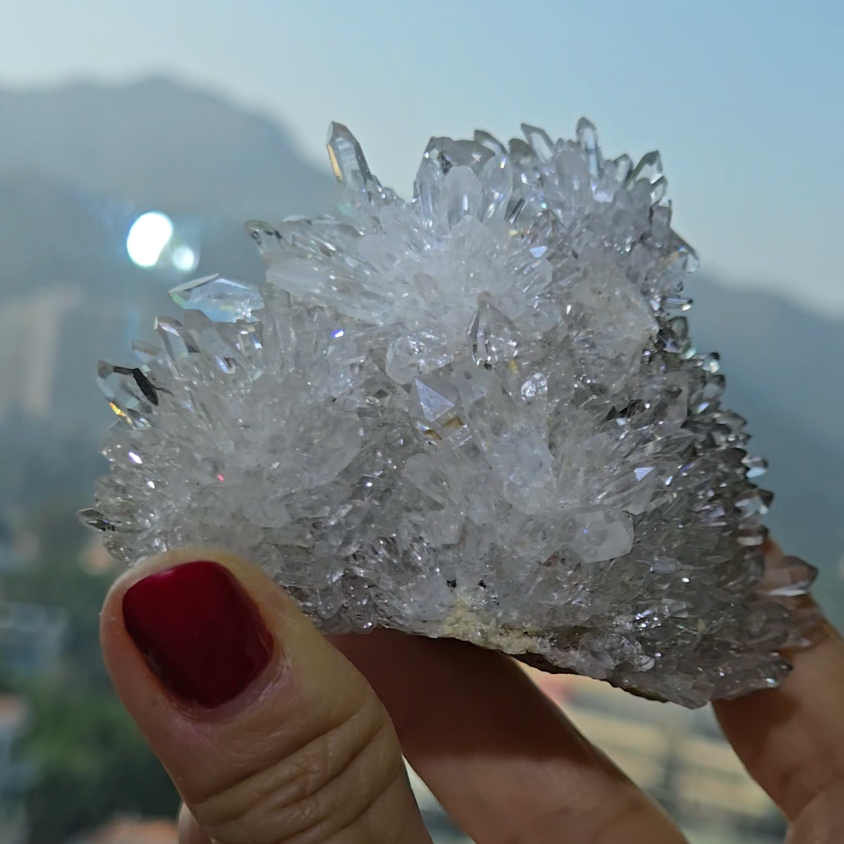 Chrysanthemum needle quartz with flower buds - CQ477