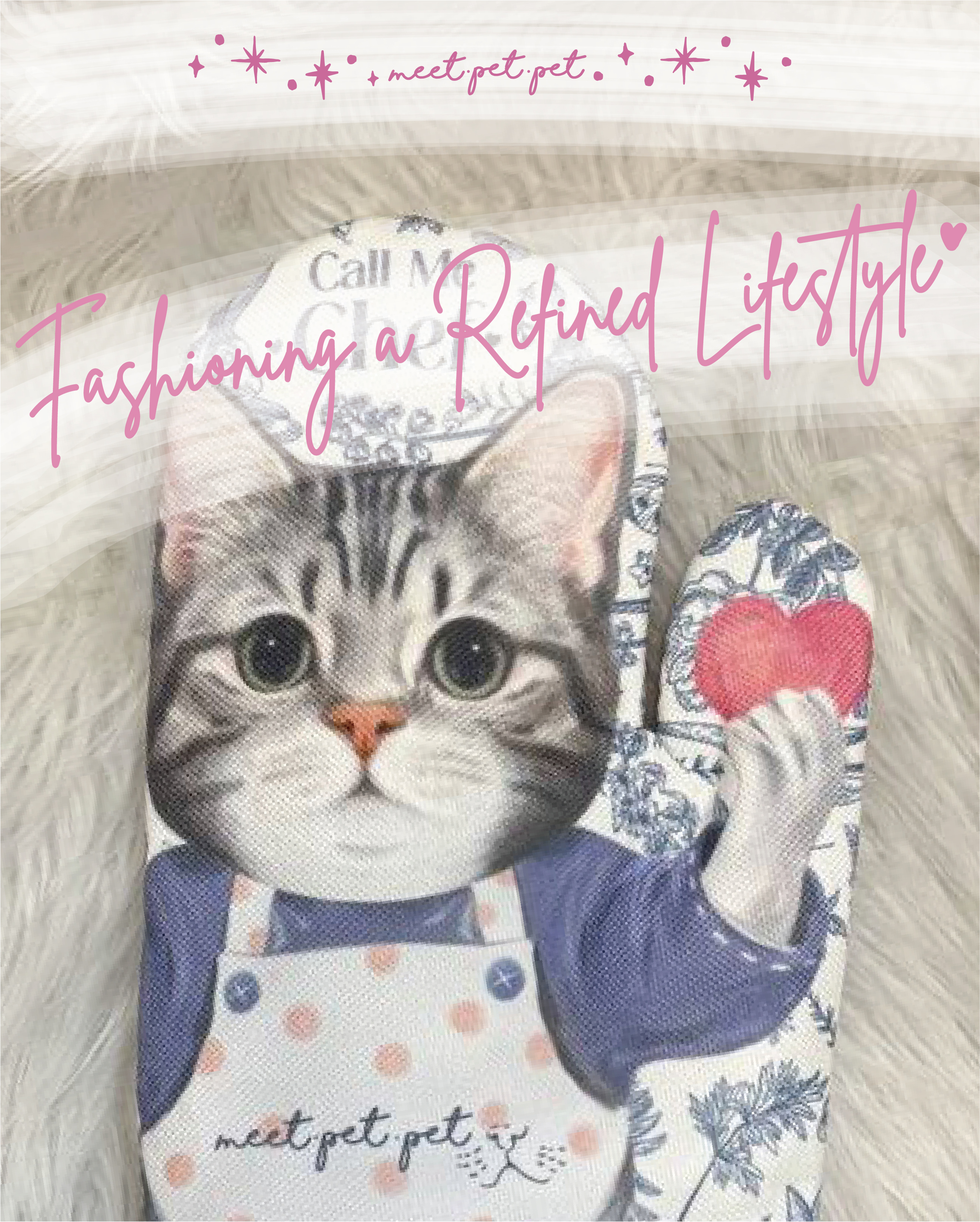 ⋆ 美短 ⋆ 隔熱手套 ⋆ American Shorthair ⋆