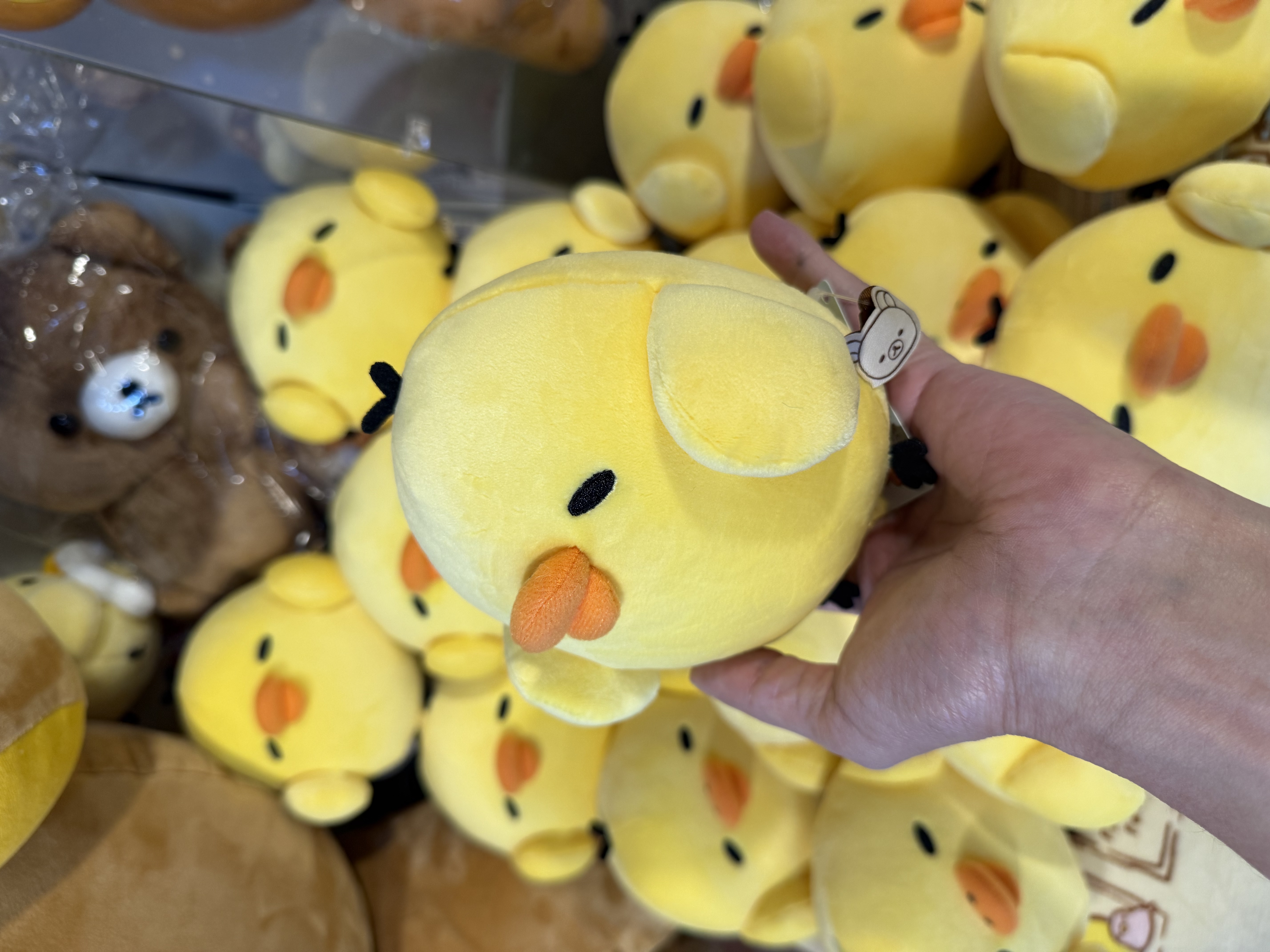 《現貨》全新小雞側頭眯眼公仔