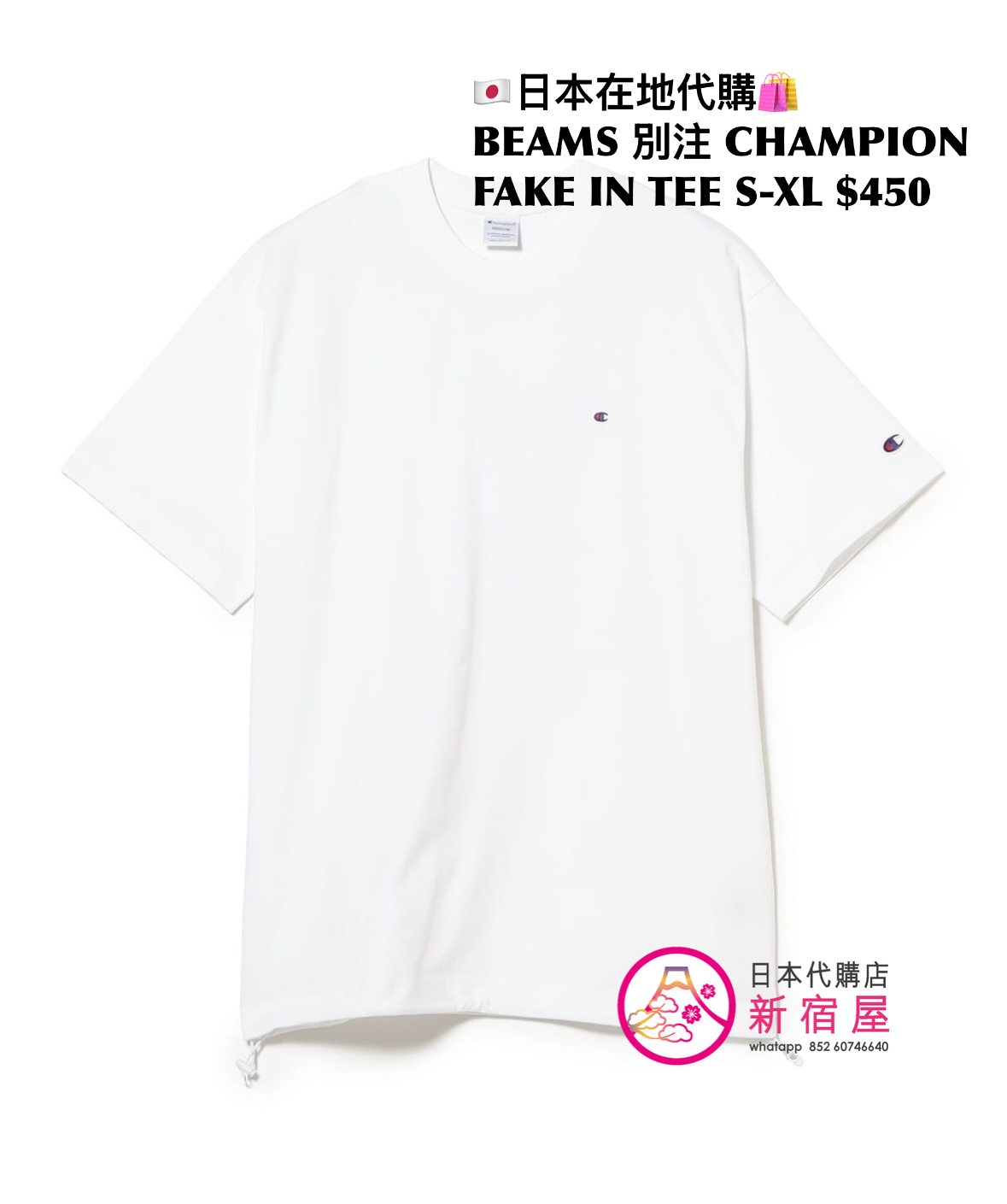 BEAMS 別注 CHAMPION FAKE IN T-SHIRT