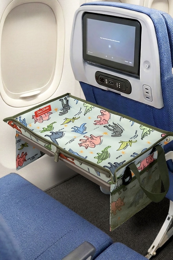 韓國直送🇰🇷Airplane Bag 