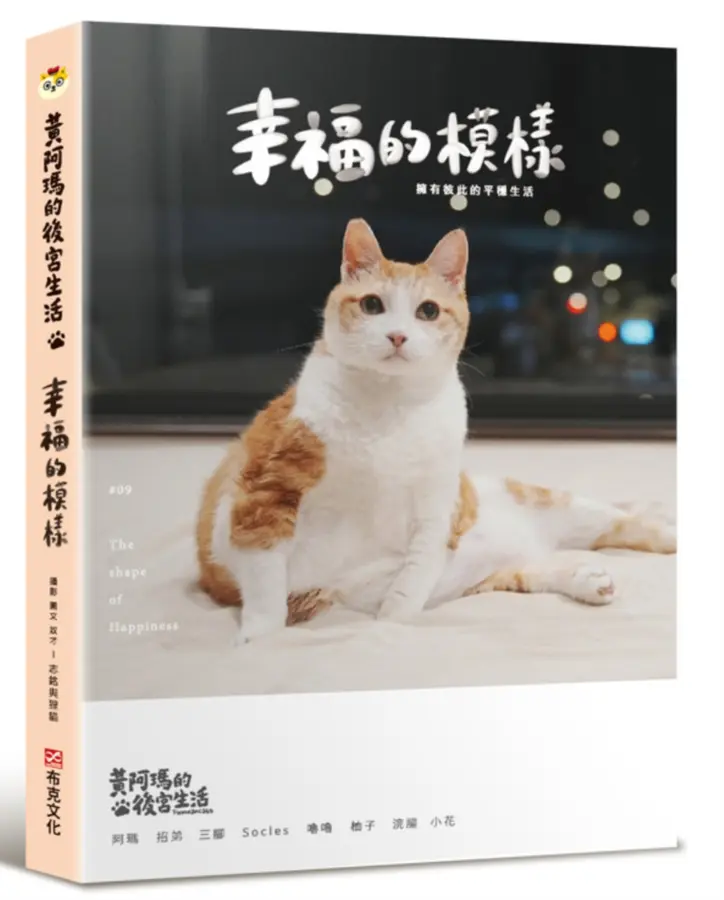 黃阿瑪的後宮生活9︰幸福的模樣