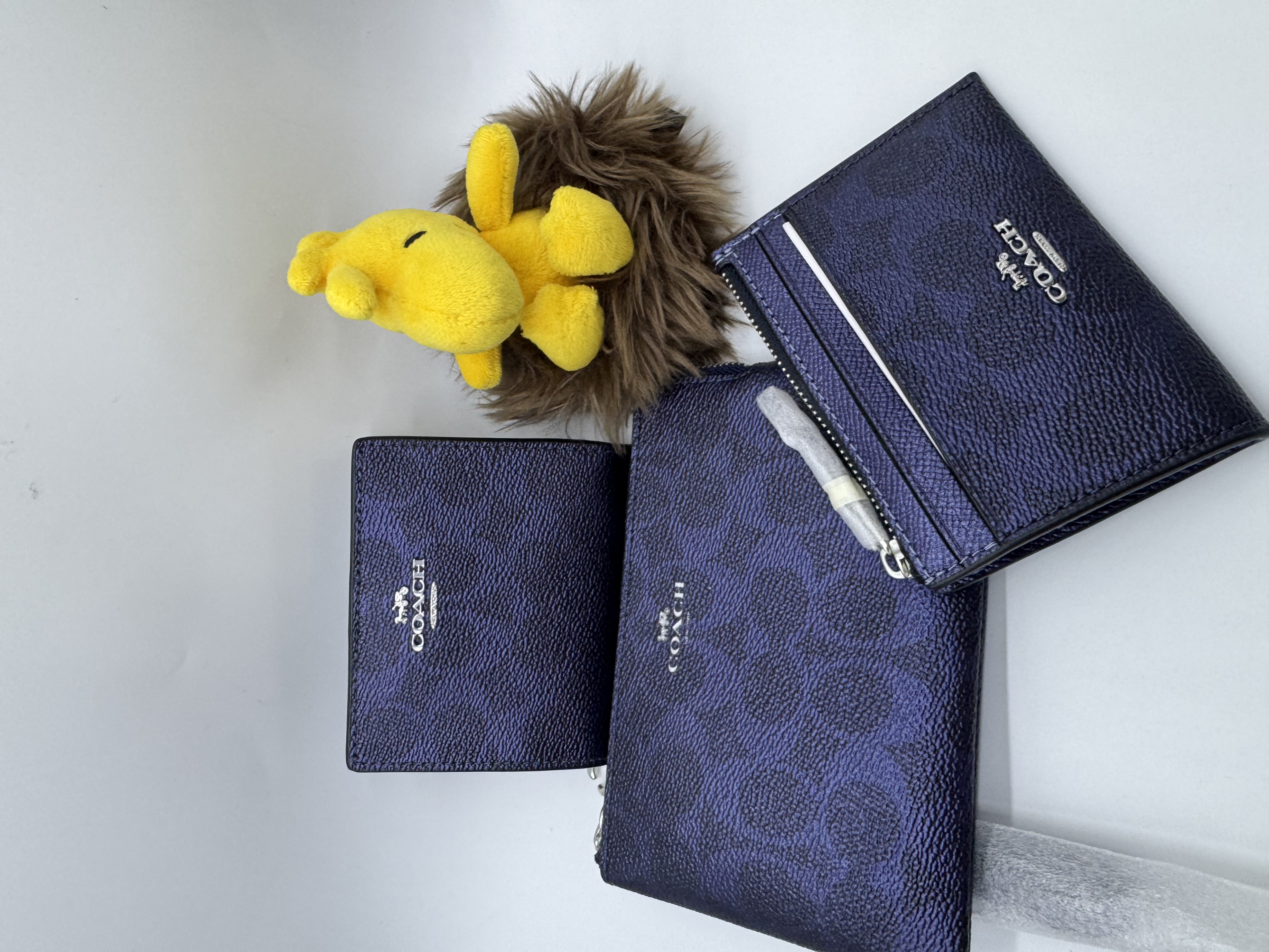 🇺🇸🇨🇦✈️Coach outlet 金屬藍色signature c pattern 系列貨品現貨💙💙🤩🤩