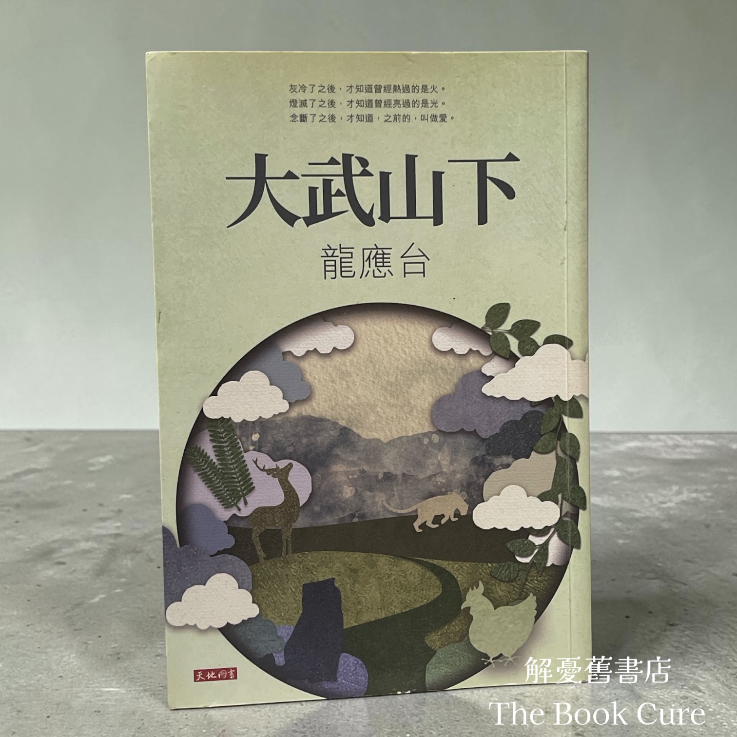 大武山下 / 龍應台 著