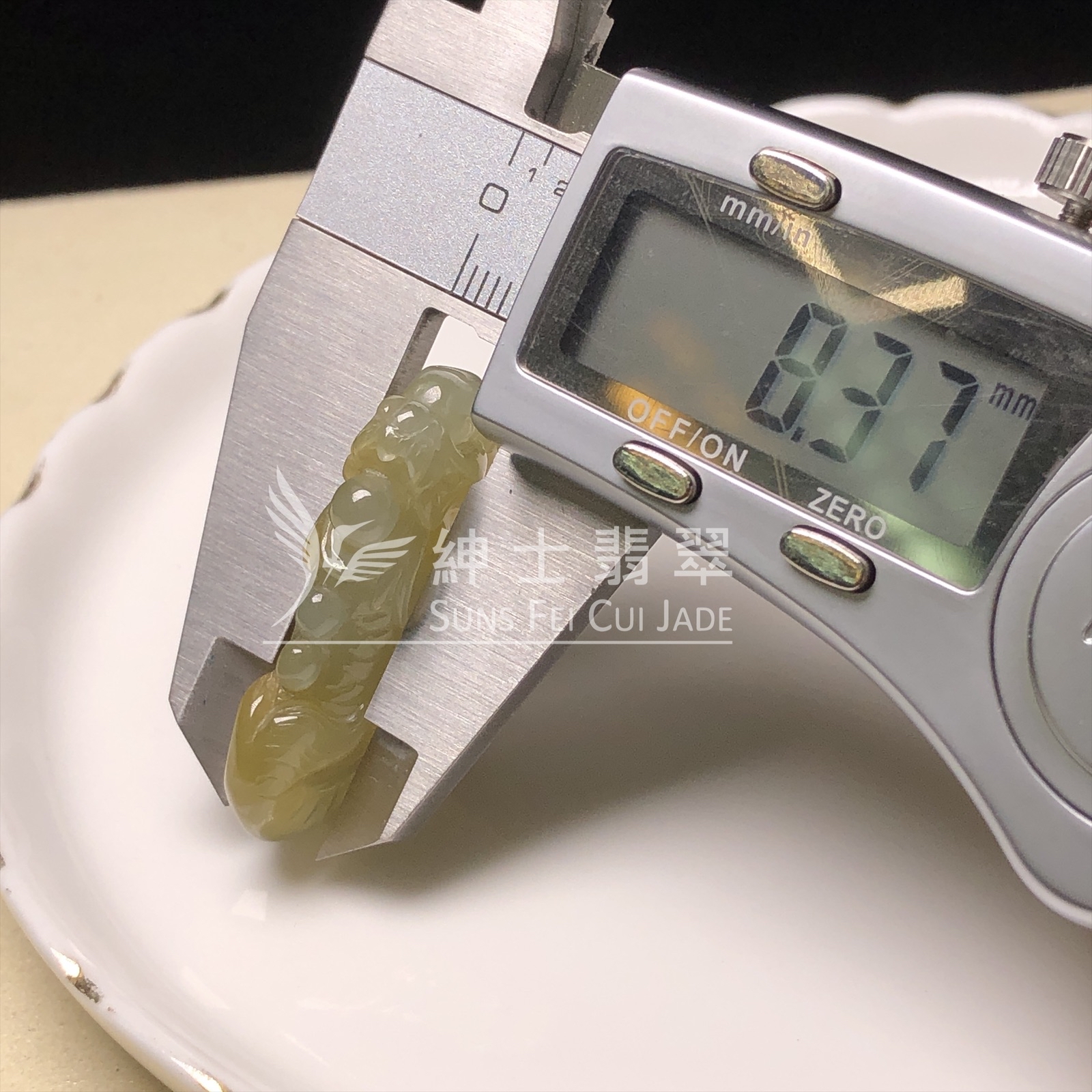 B07377 冰黃龍魚