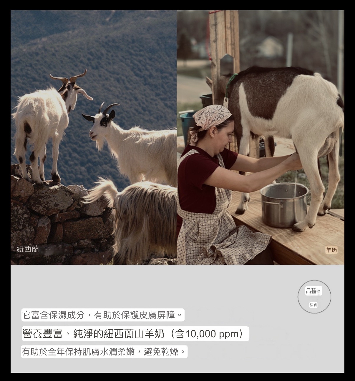 Hetras 精華護手霜515ml（牡丹無花果Bombshell）