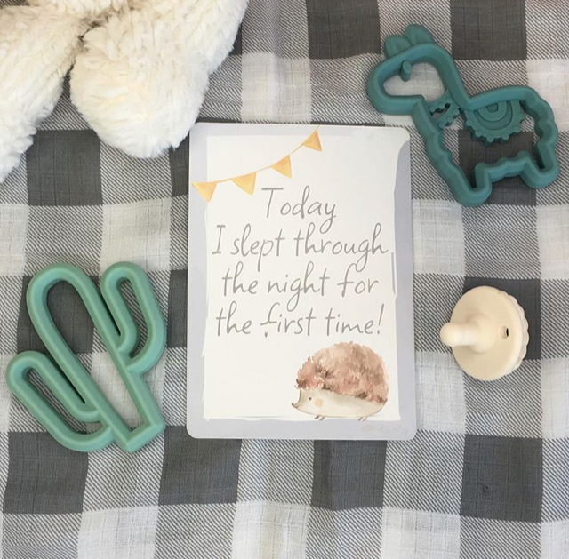 Silicone Baby Teether - Cactus