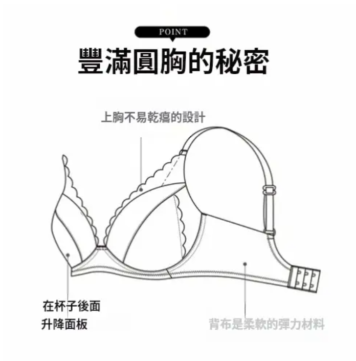 日本 華歌爾 Lecien 集中提高 蕾絲無鋼圈內衣 平行進口