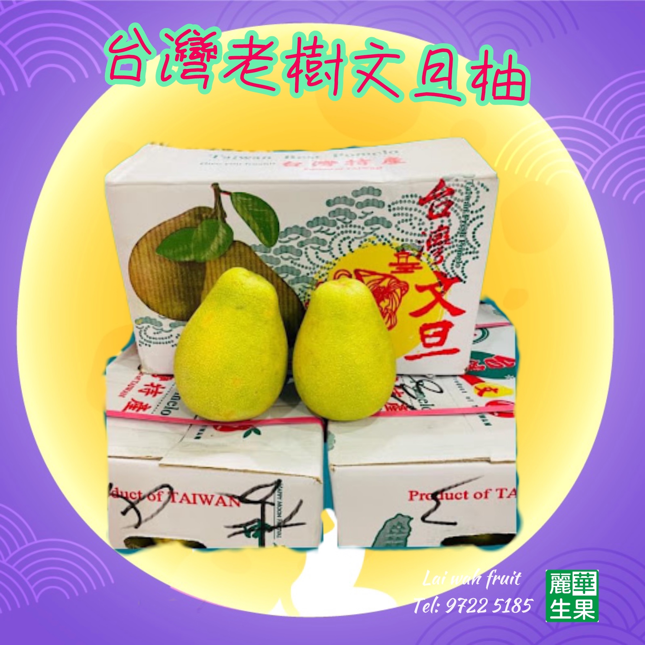 台灣文旦柚(16-20個一箱)