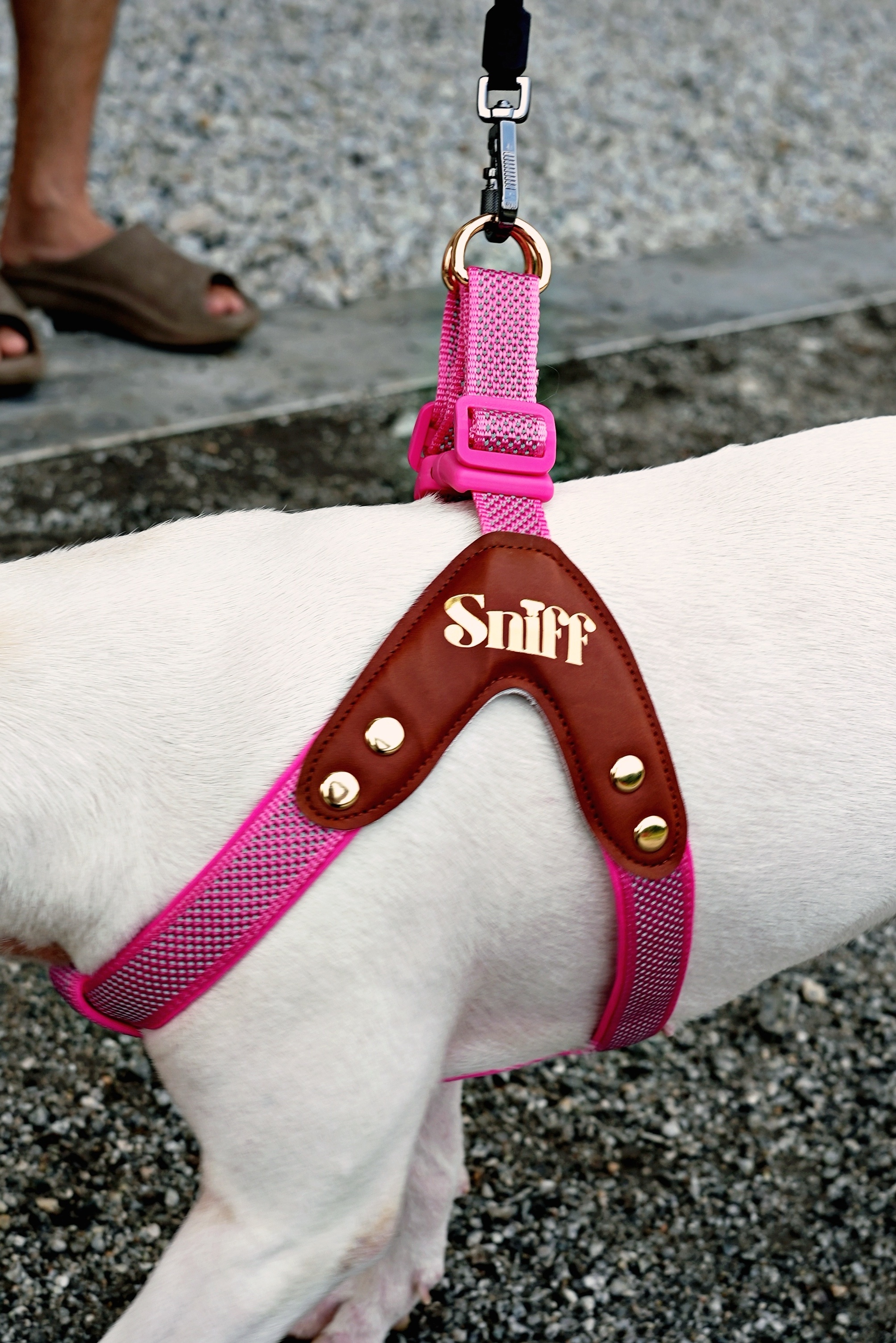 Step-In Harness - Baby’s Breathe - Rose Gleam