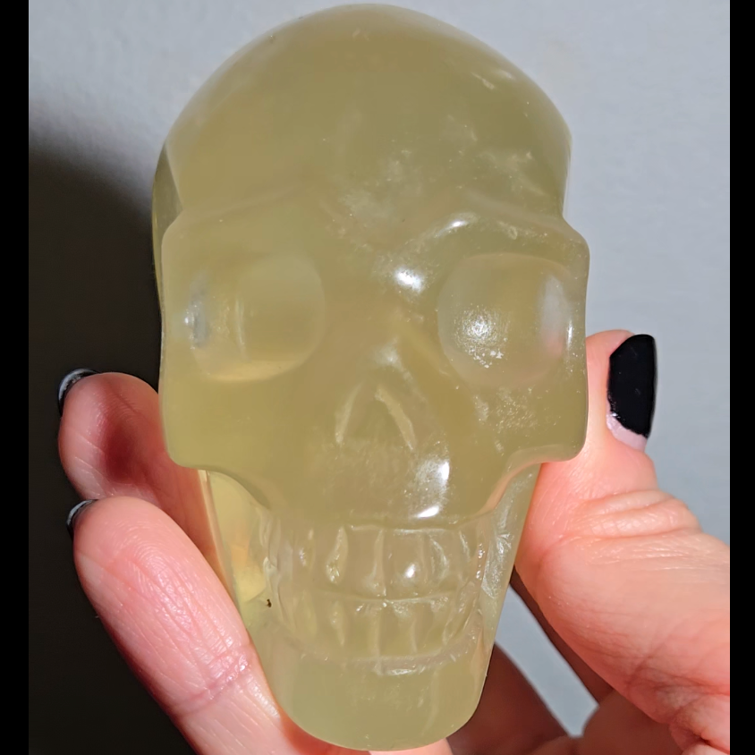 Citrine skull with rainbows and multiple star flash asterism - C59